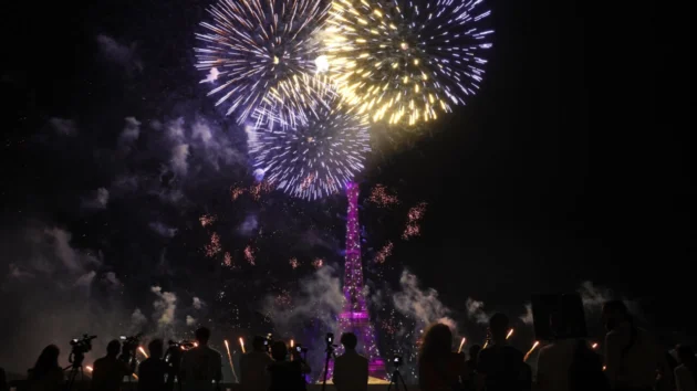 パリのセーヌ川から見た7月14日の花火。 © AFP / BERTRAND GUAY