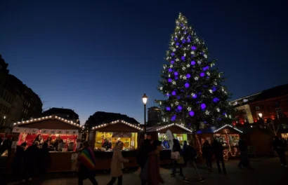 ストラスブール市場のクリスマスツリー。© AFP/パトリック・ハーツォグ