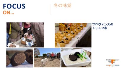 プロヴァンスのトリュフ市