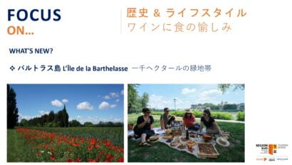 バルトラス島 Lile de la Barthelasse 一千ヘクタールの緑地帯