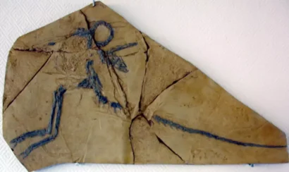 フランスの関心が高まるにつれて、恐竜の化石発掘への資金提供が減少する