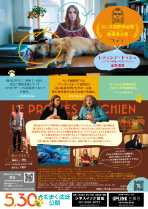 犬の裁判