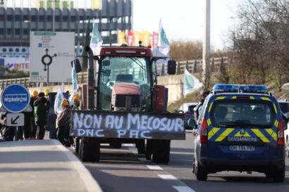 フランスは禁止された農薬の痕跡を持つ食品の輸入を停止します
